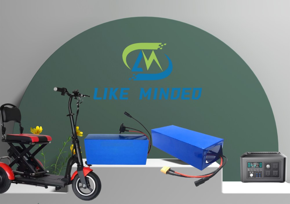 LiFePO4 Lithium Battery Pack LiFePO4 Lithium Battery Pack