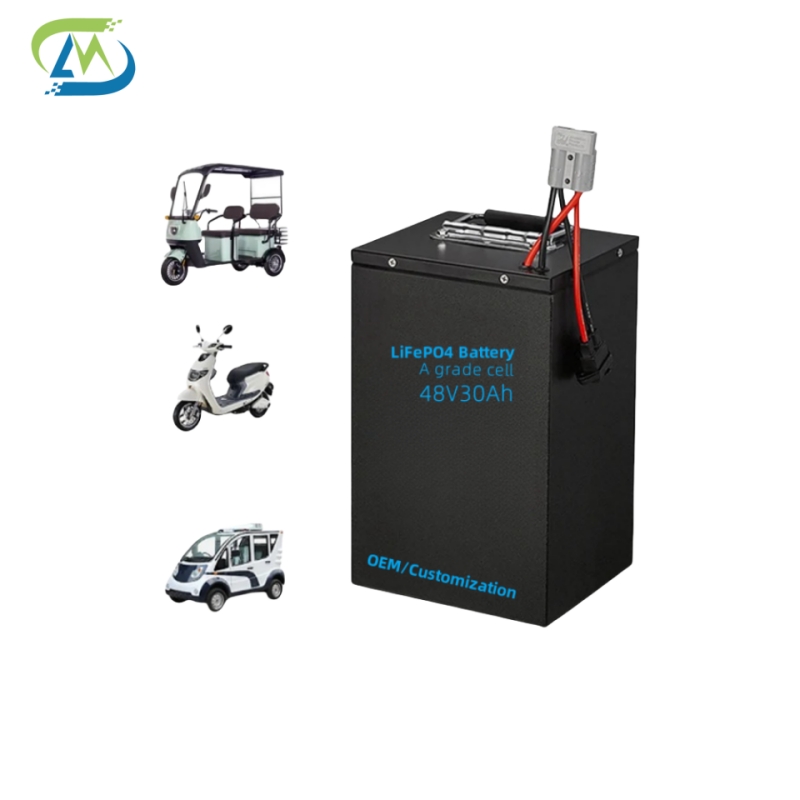 48V30Ah LiFePO4 Battery